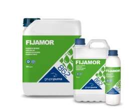 Fijamor